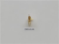 藏品(尺蠖蛾科)的圖片